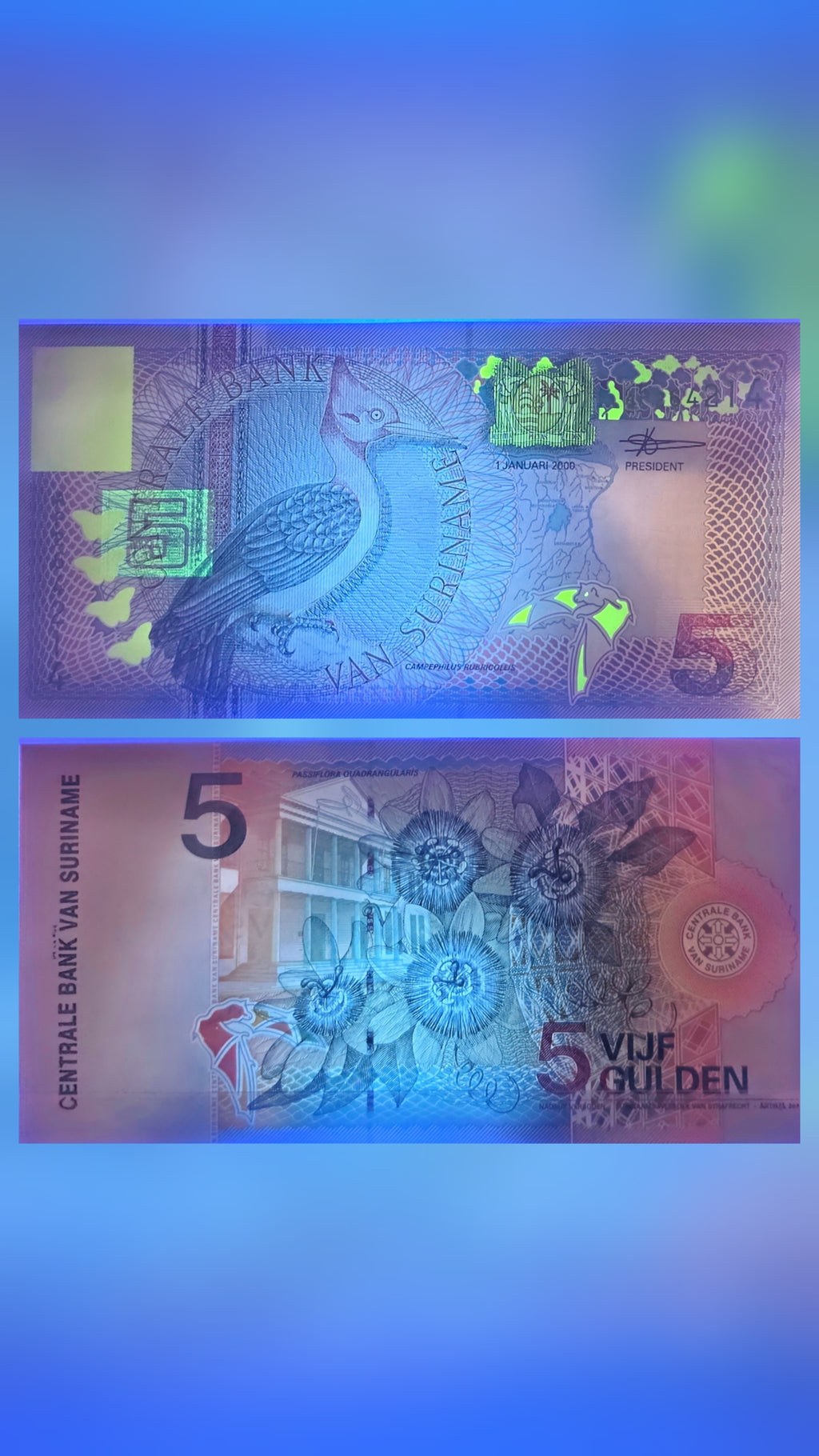 Suriname 5 Gulden unc/au